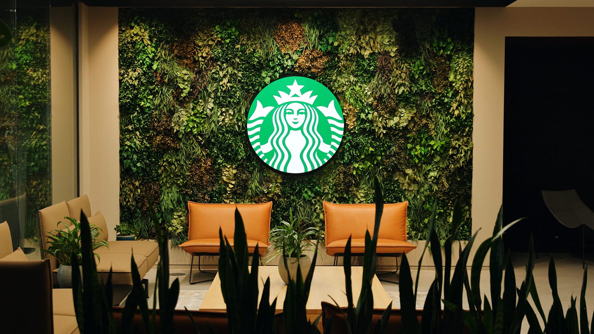Muebles en Cuero inicia proyecto de fabricación para las tiendas Starbucks en Chile