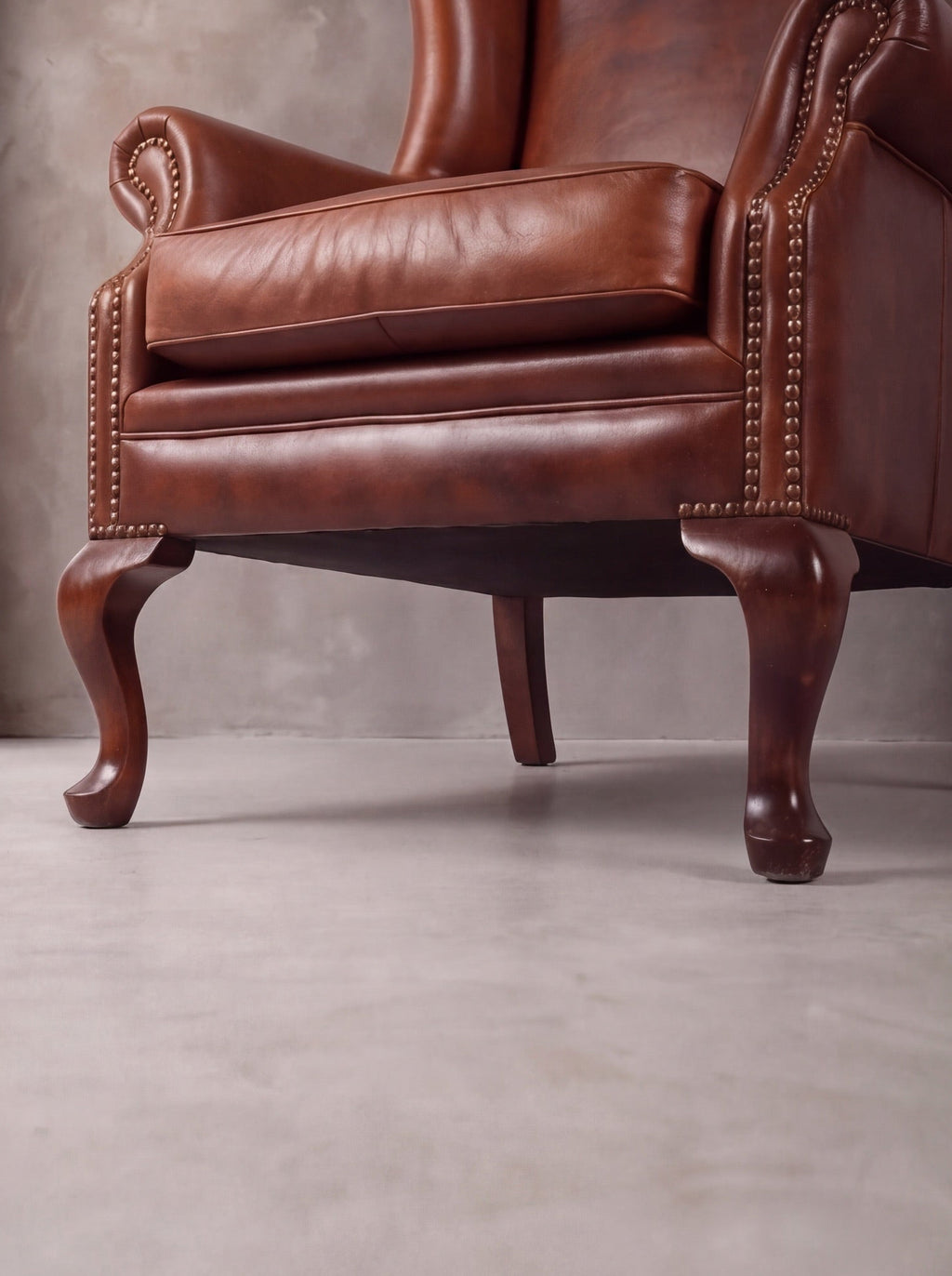 Bergere Reina Ana (Liso)