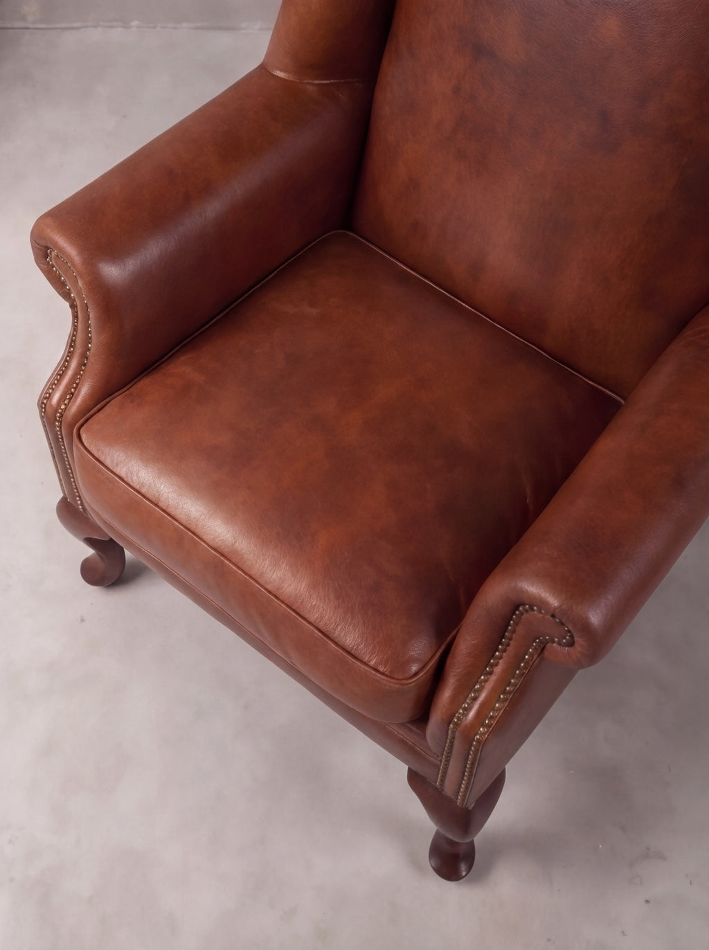 Bergere Reina Ana (Liso)