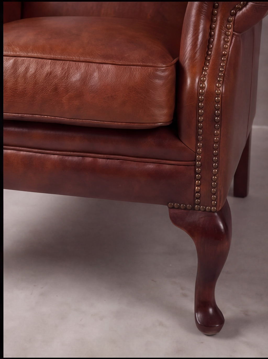 Bergere Reina Ana (Liso)
