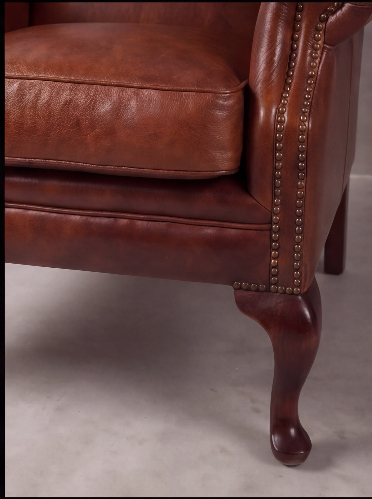 Bergere Reina Ana (Liso)