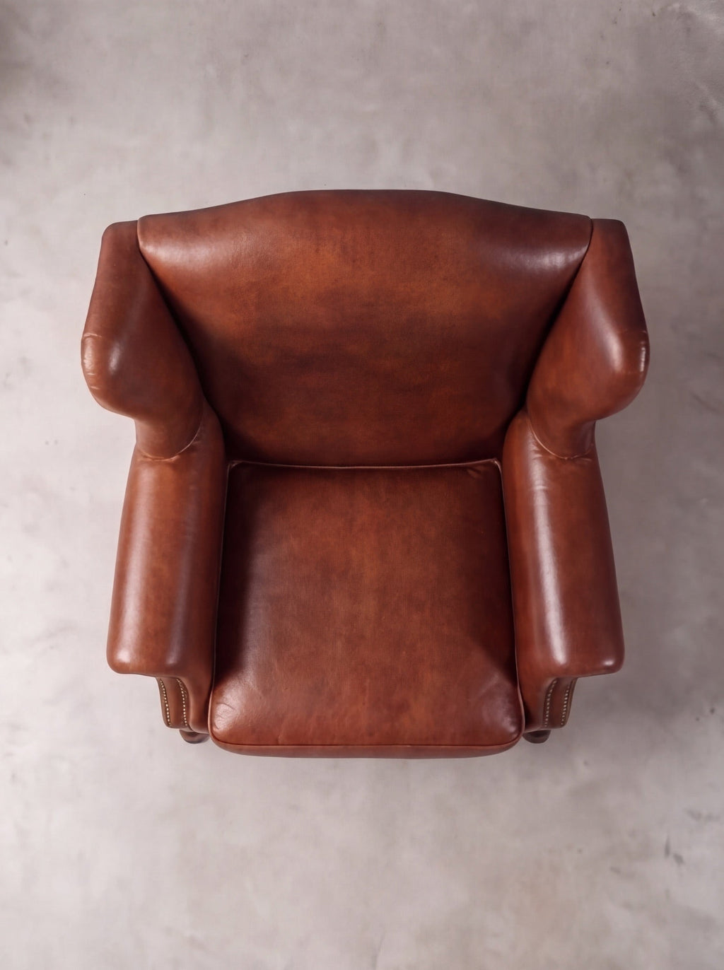 Bergere Reina Ana (Liso)