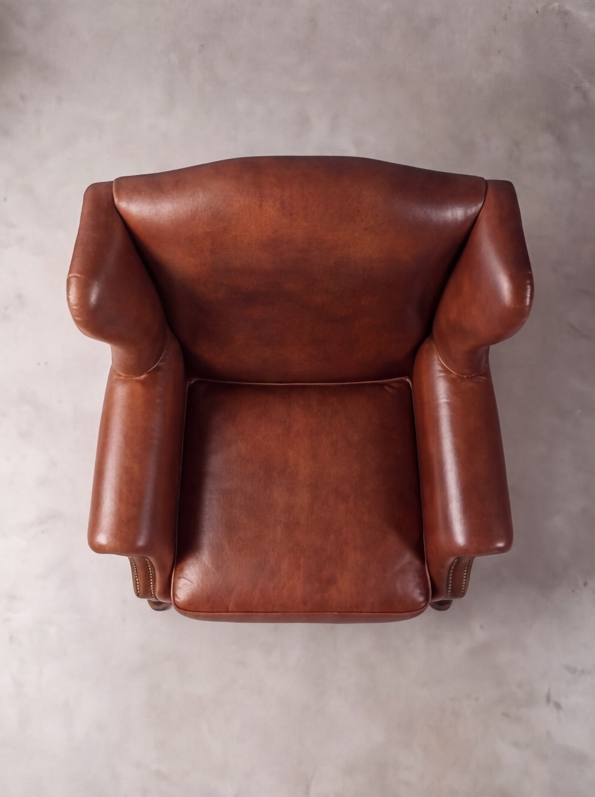 Bergere Reina Ana (Liso)