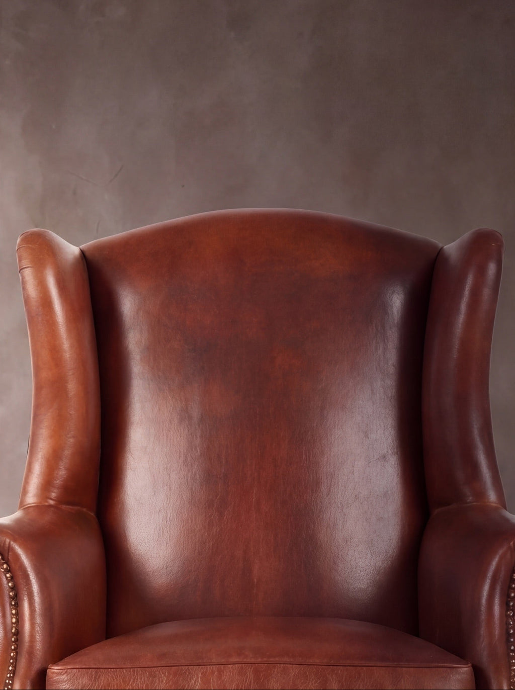 Bergere Reina Ana (Liso)