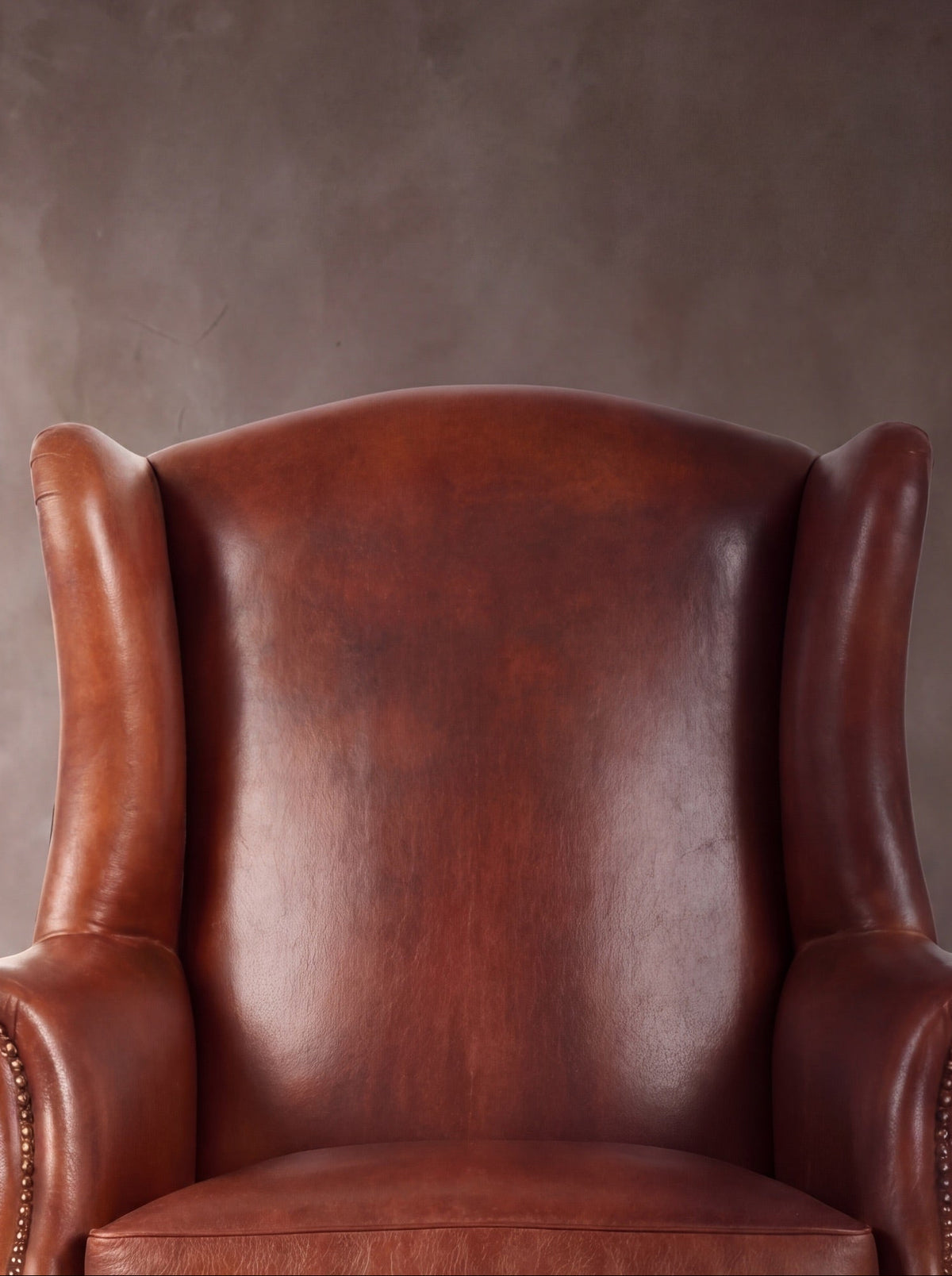 Bergere Reina Ana (Liso)